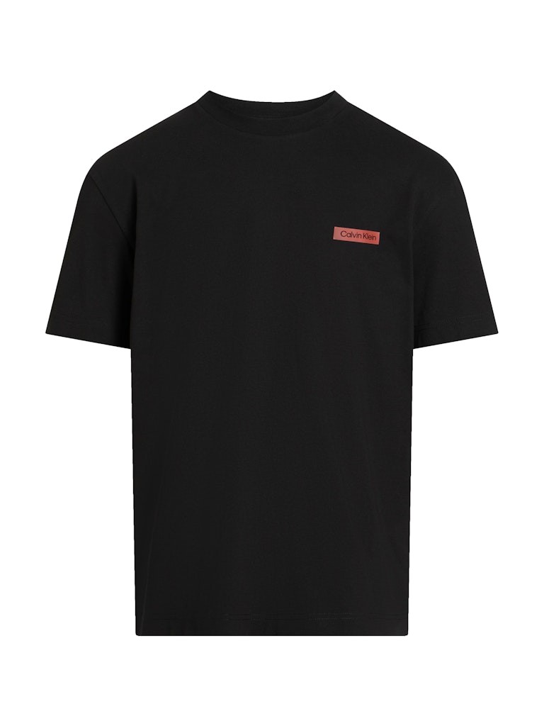 Calvin Klein Rejeneratif Pamuk Siyah Erkek Kısa Kollu T-Shirt - K10K114158BEH