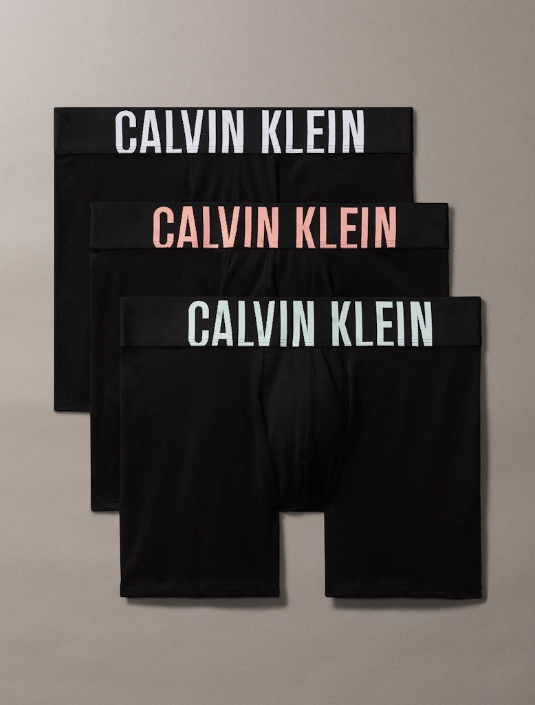 Calvin Klein Pamuk Siyah Erkek Uzun Boxer - 000NB3609AVVN