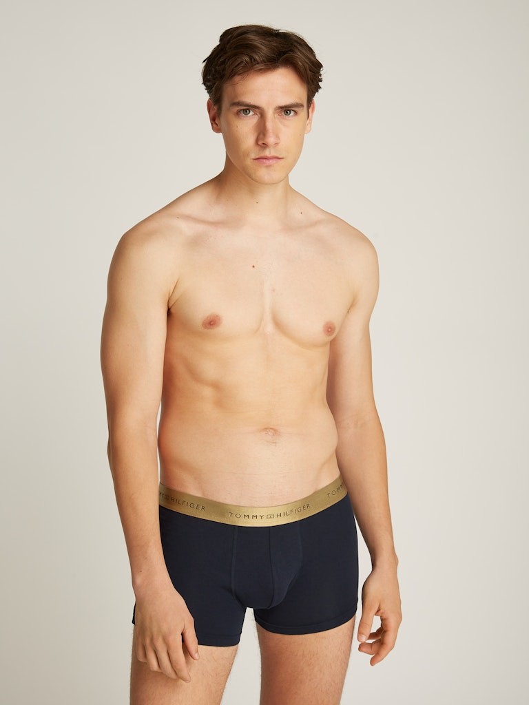 Tommy Hilfiger Trunk Çok Renkli Boxer