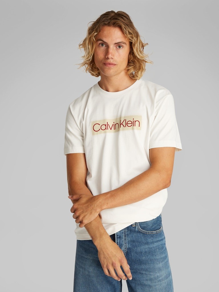 Calvin Klein Rejeneratif Pamuk Beyaz Erkek Kısa Kollu T-Shirt - J30J327472YAS