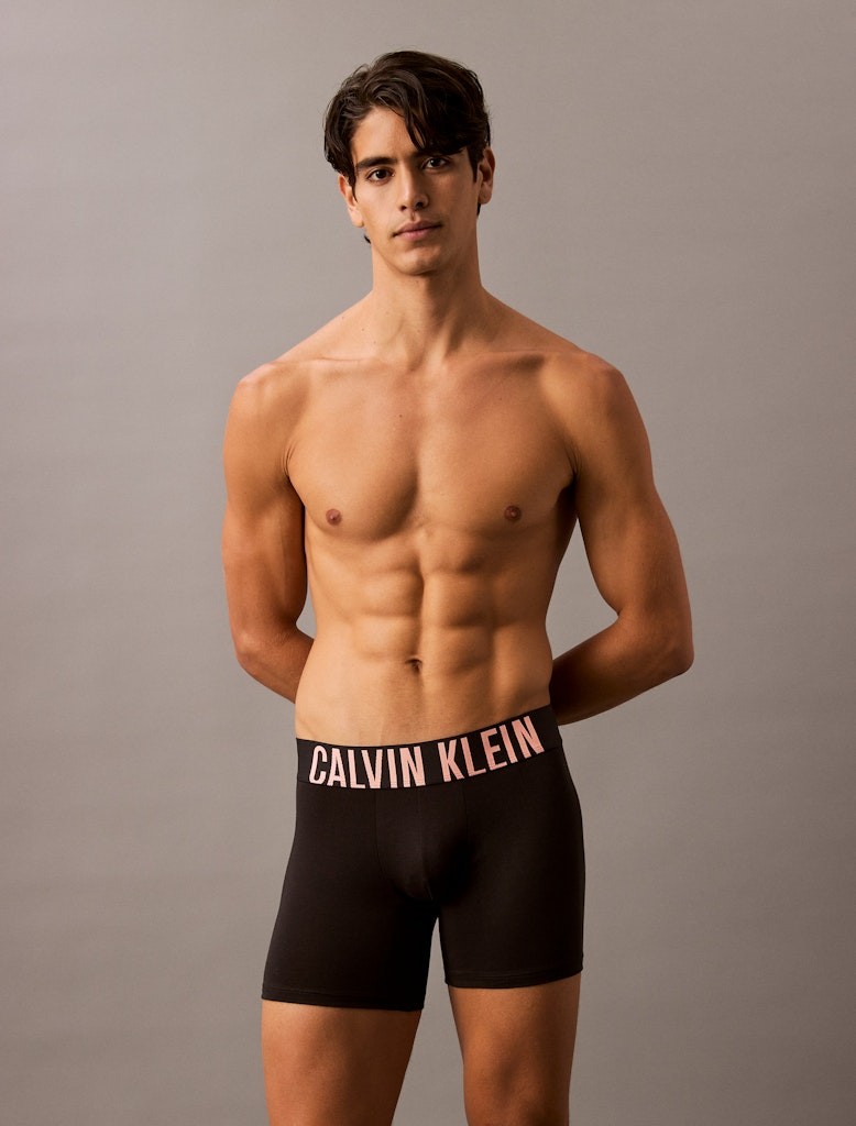 Calvin Klein Pamuk Siyah Erkek Uzun Boxer - 000NB3609AVVN