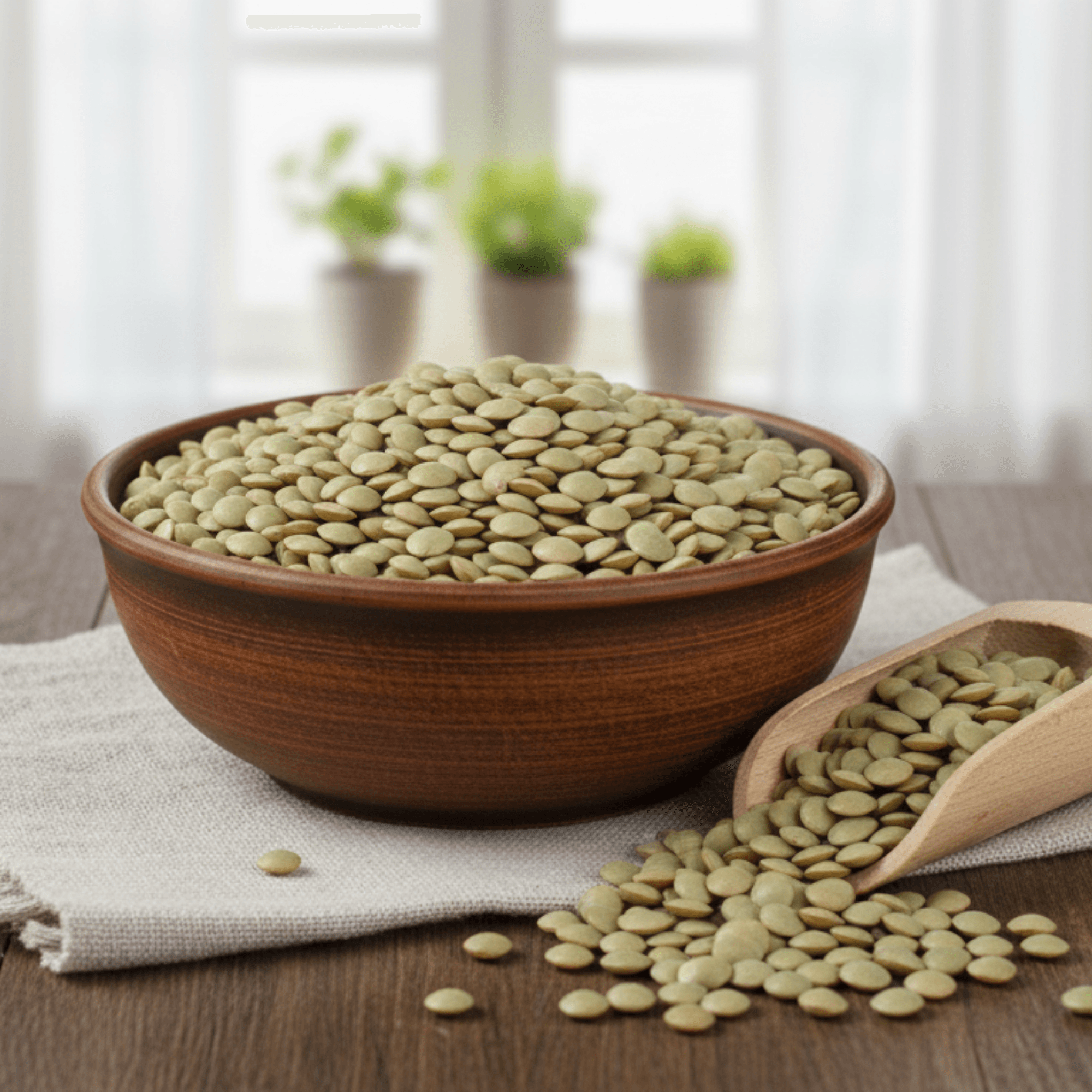 Yeşil Mercimek (Ata Tohumu & Doğal Tarım) 1 kg