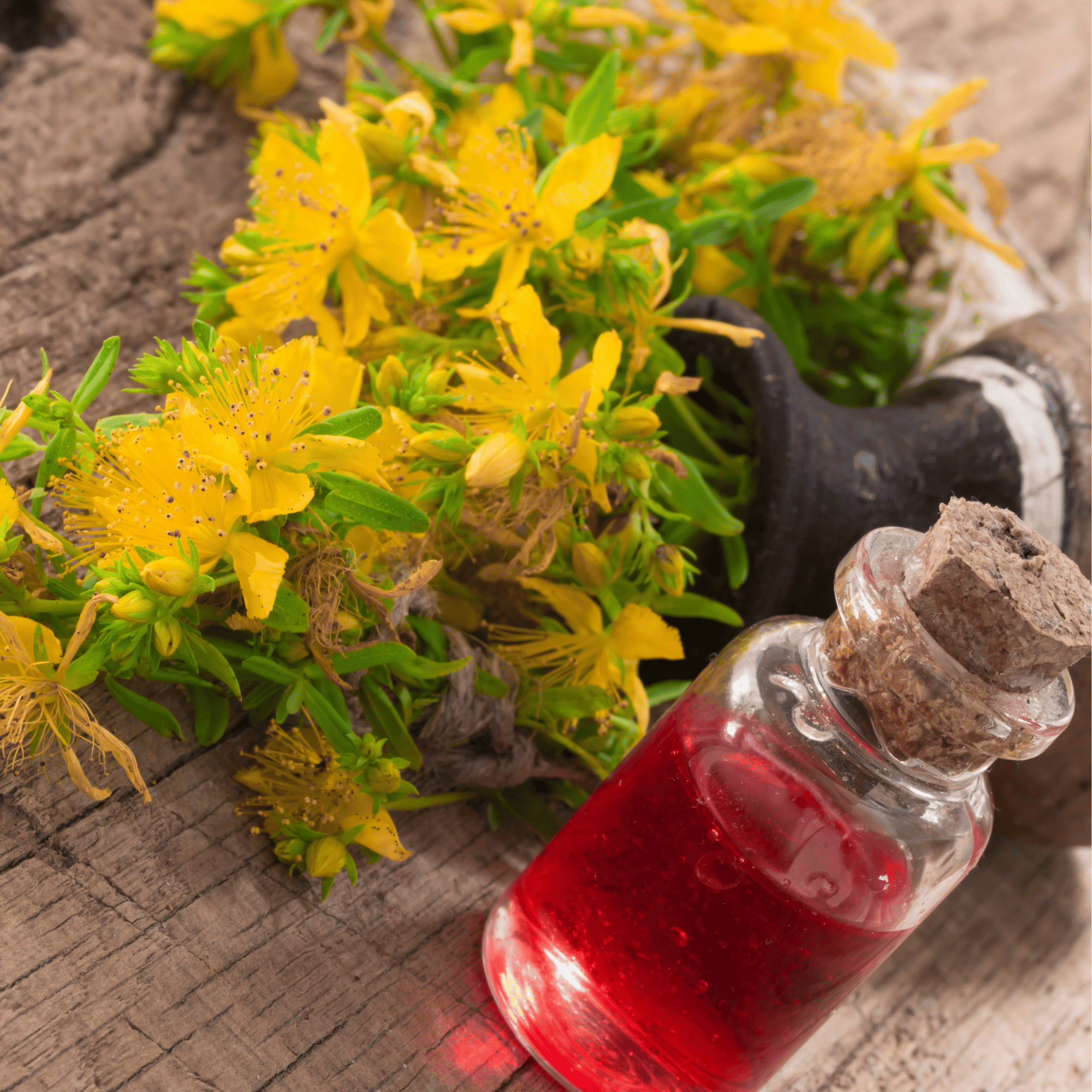 Kantaron Yağı (İçilebilir)