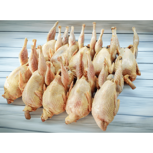 Bıldırcın (10 adet)