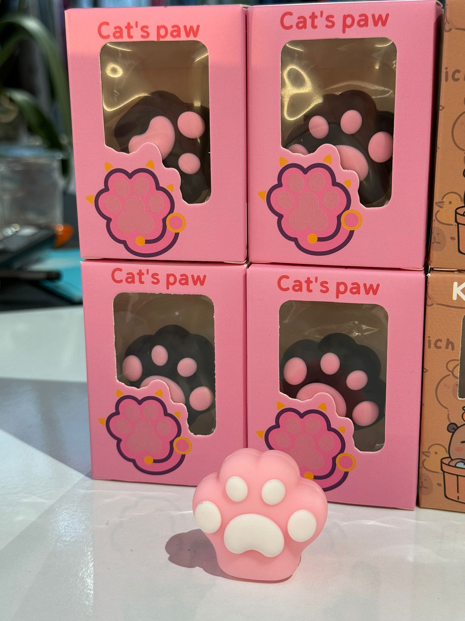 Cat's paw Kalemtıraş Silgi