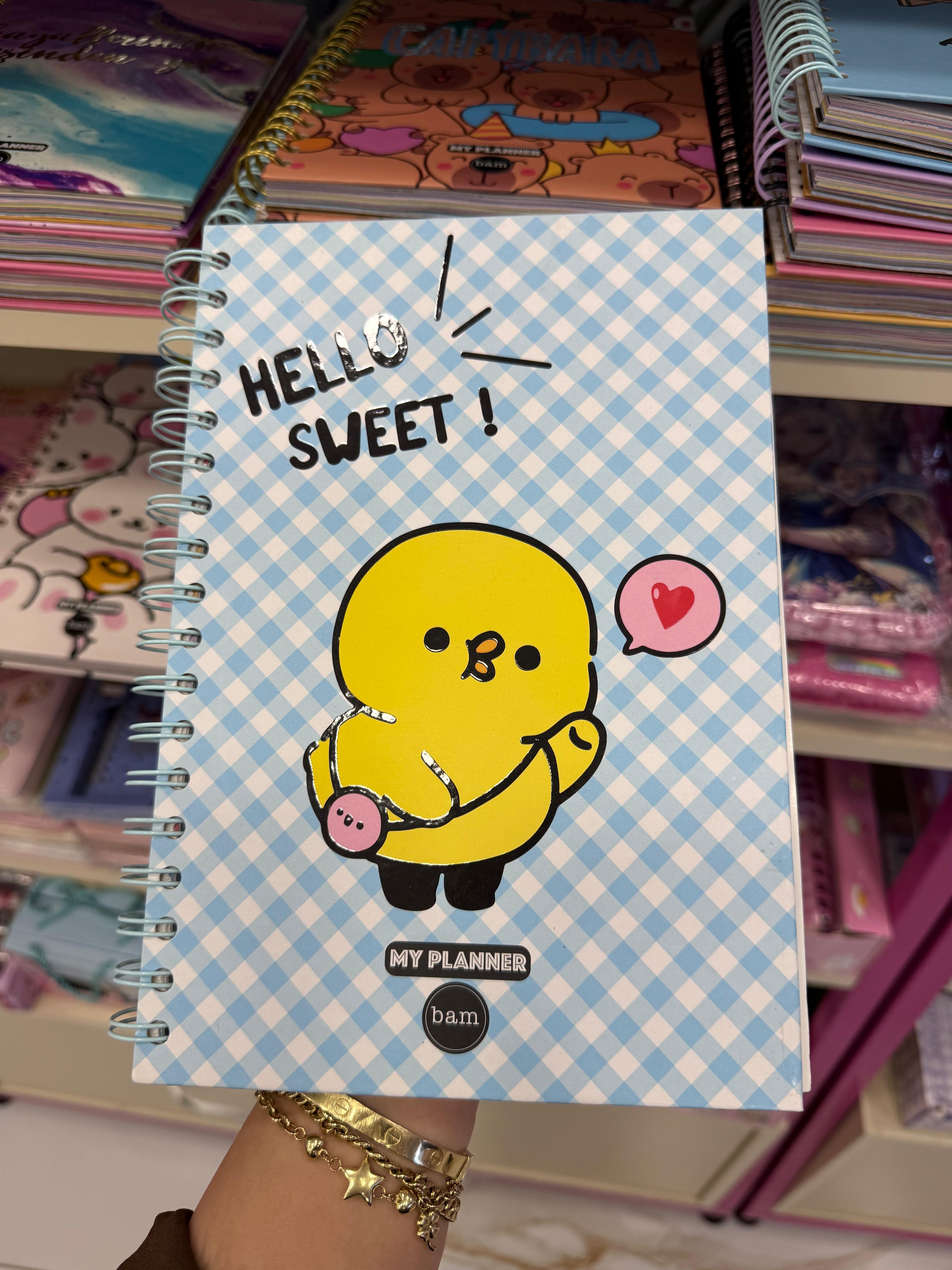 Hello Sweet Spiralli Defter