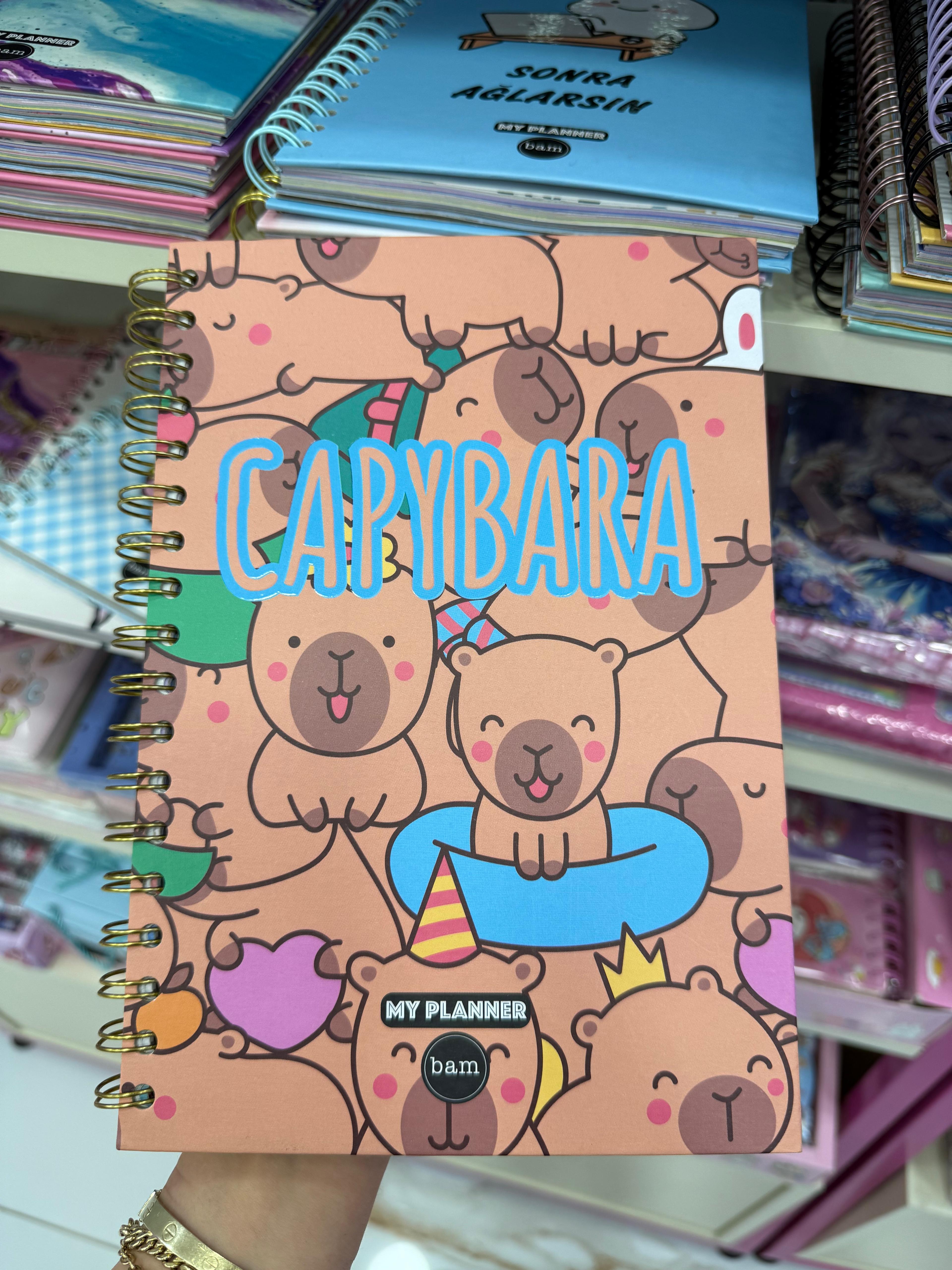 Capybara Spiralli Defter