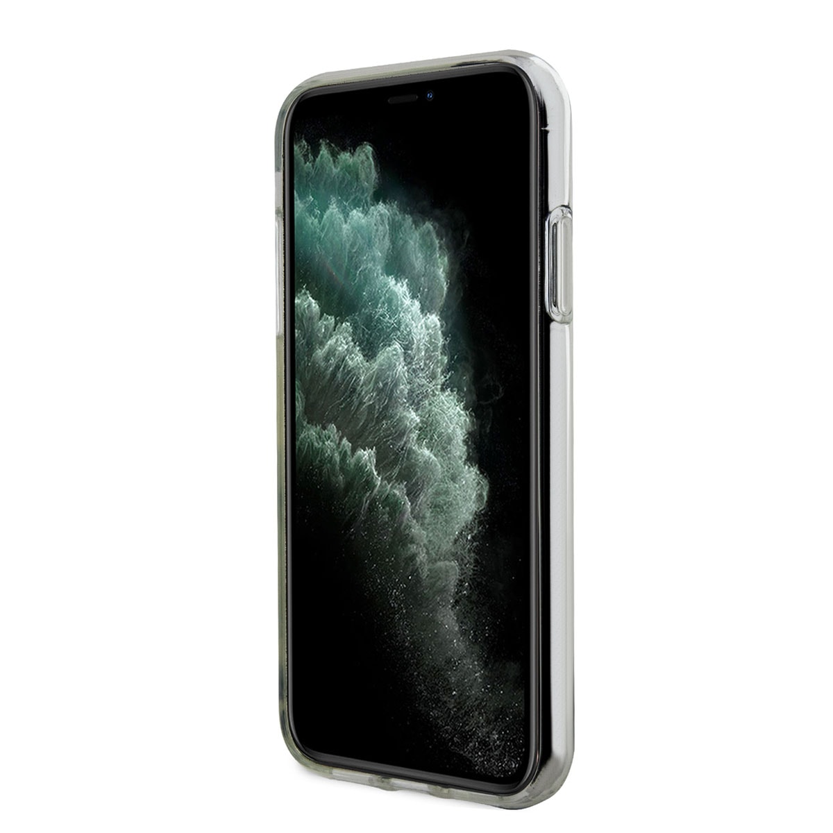 Apple iPhone 11 Kılıf Karl Lagerfeld Transparan Choupette Dizayn Kapak