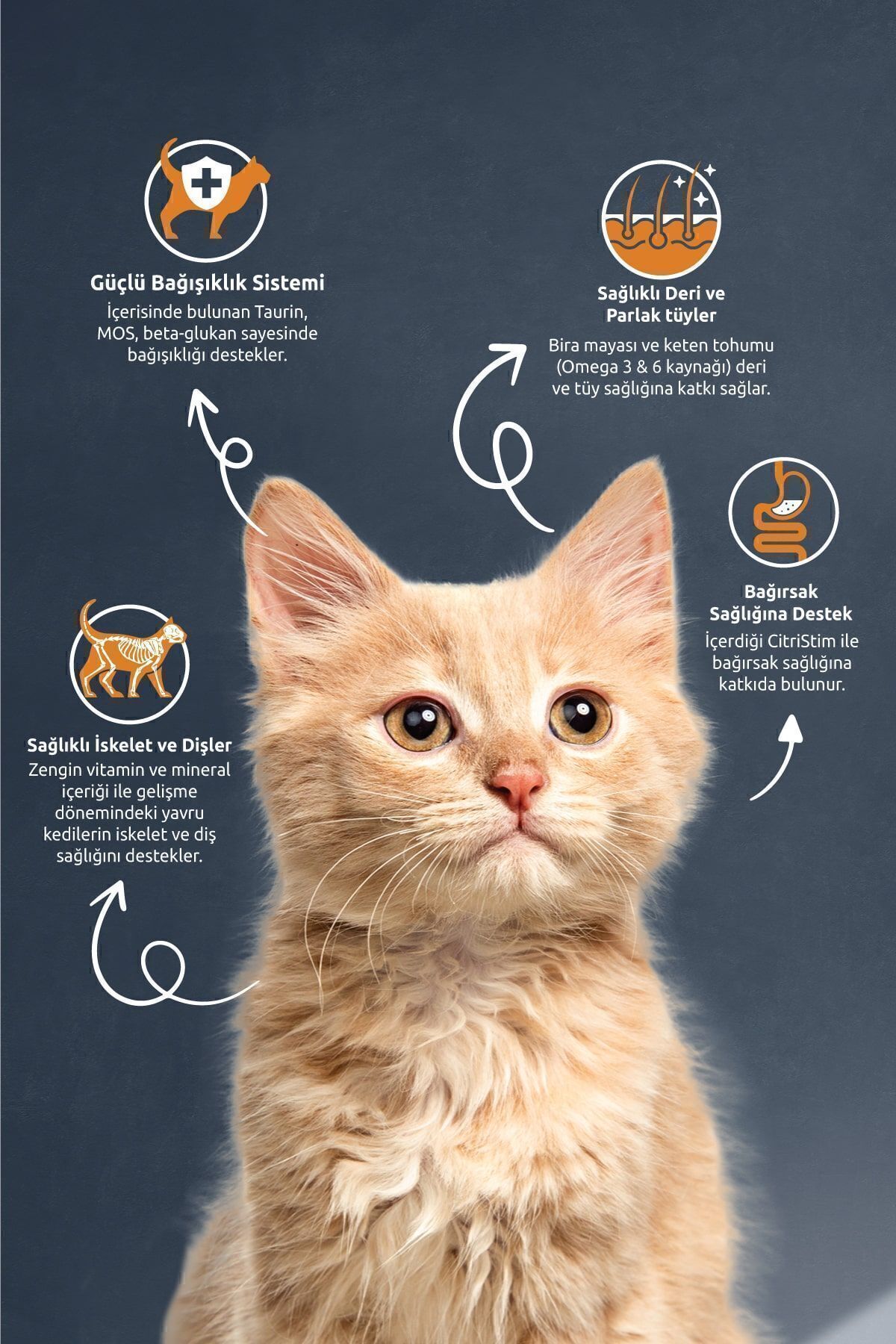 Reflex Kitten Tavuklu Yavru Kedi Maması 15 Kg 