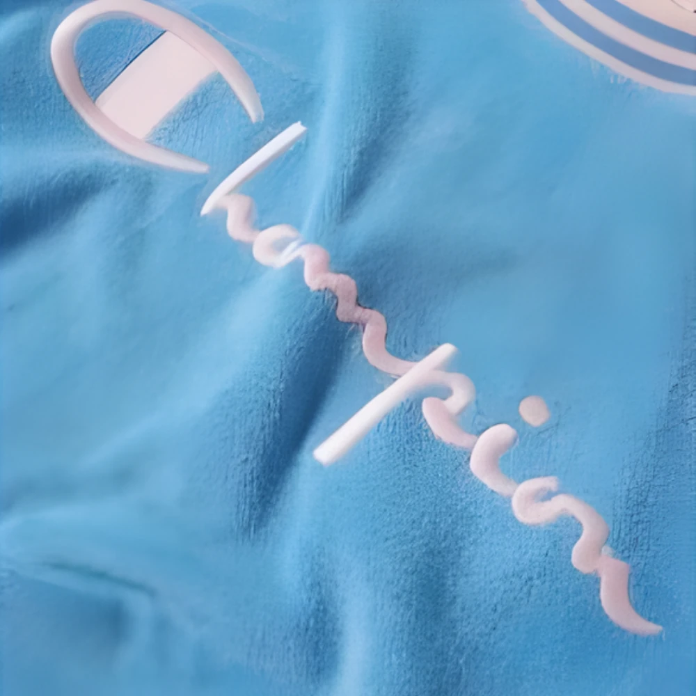 Champion Reverse Weave Vintage Terry Crew Sweat Blue