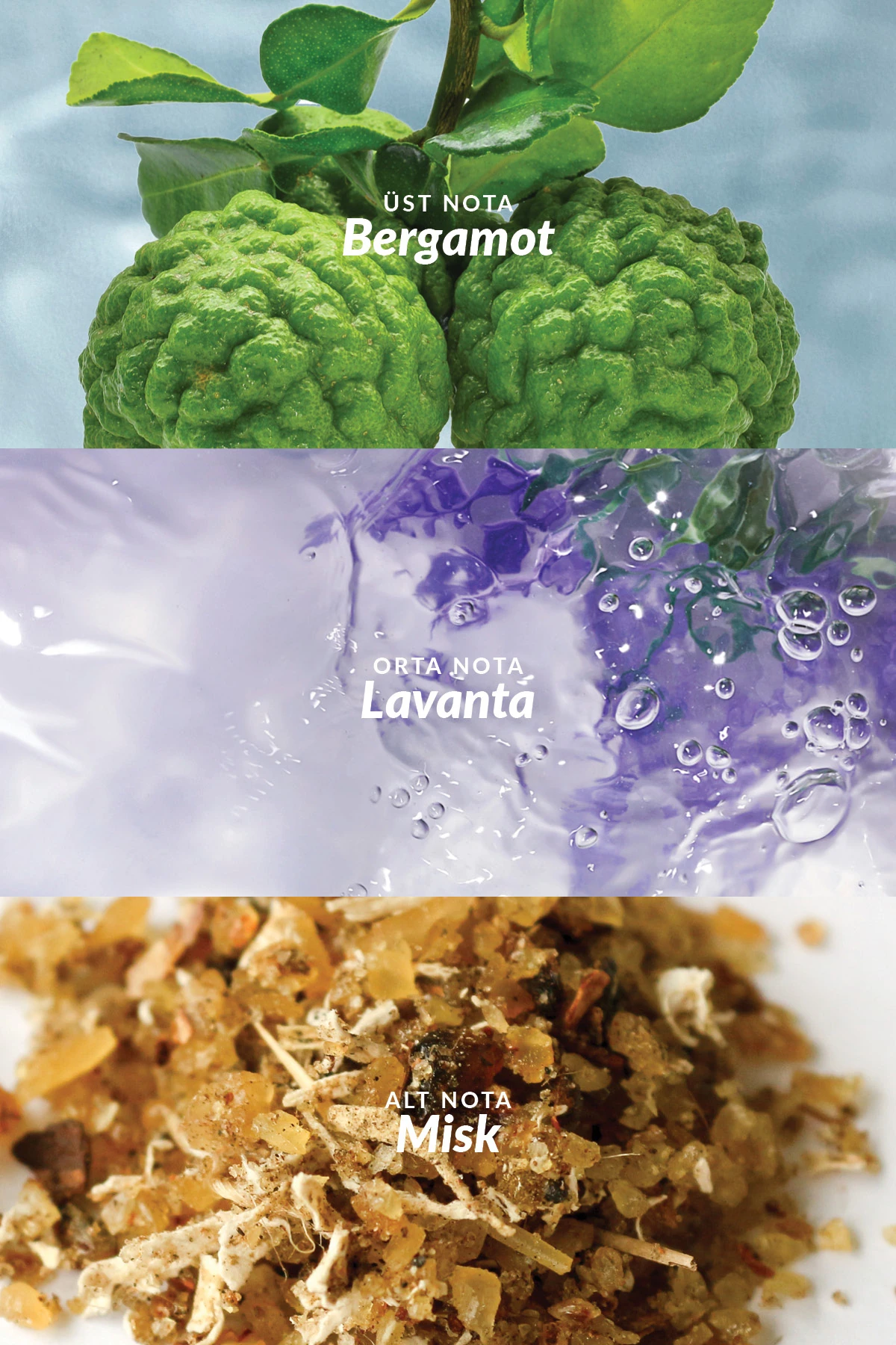 Individual Blue Erkek Parfüm Ve Wish Of Love Kadın Parfüm Paketi