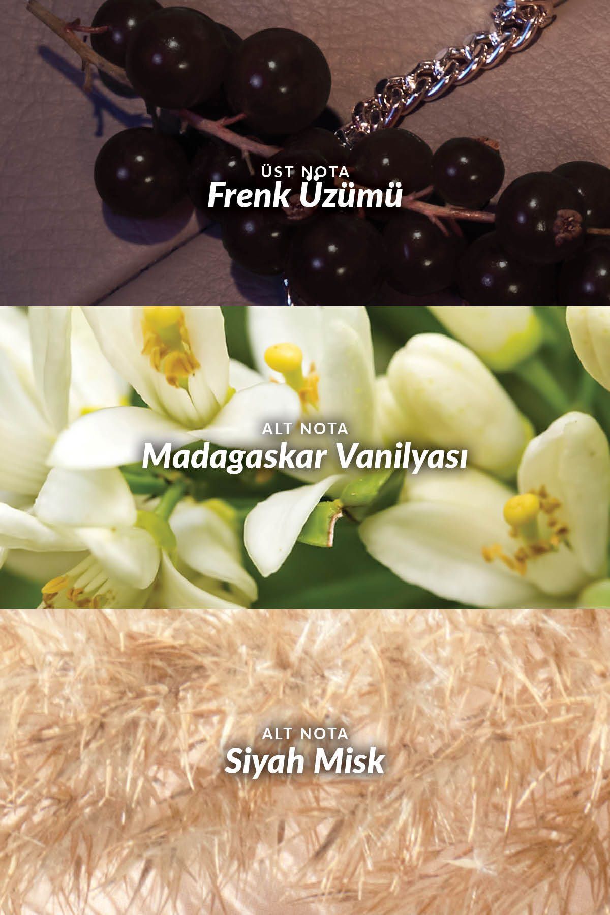 Far Away Glamour Kadın Rollon 50 Ml.