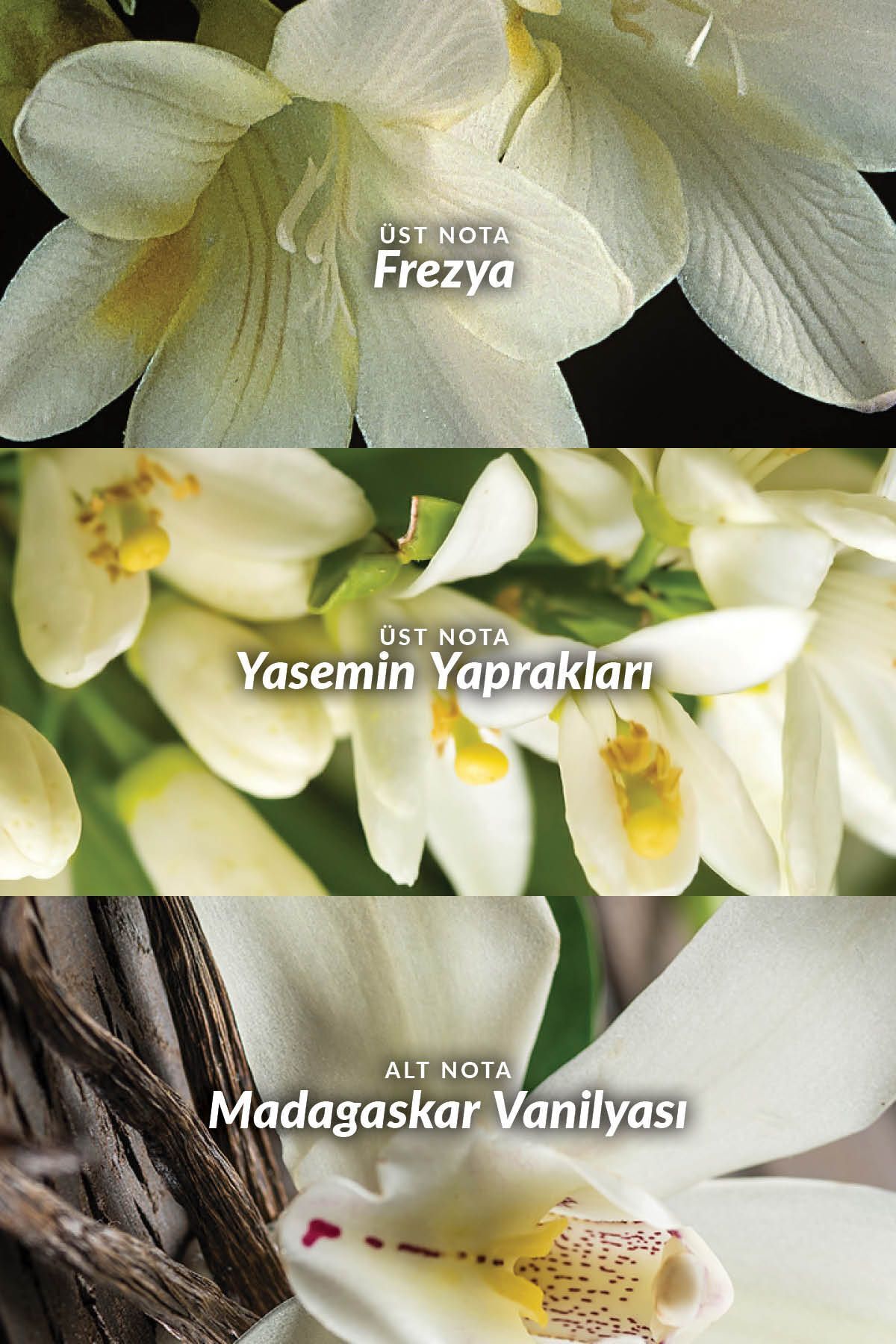 Far Away Kadın Parfüm Edp 50 Ml. Üçlü Set