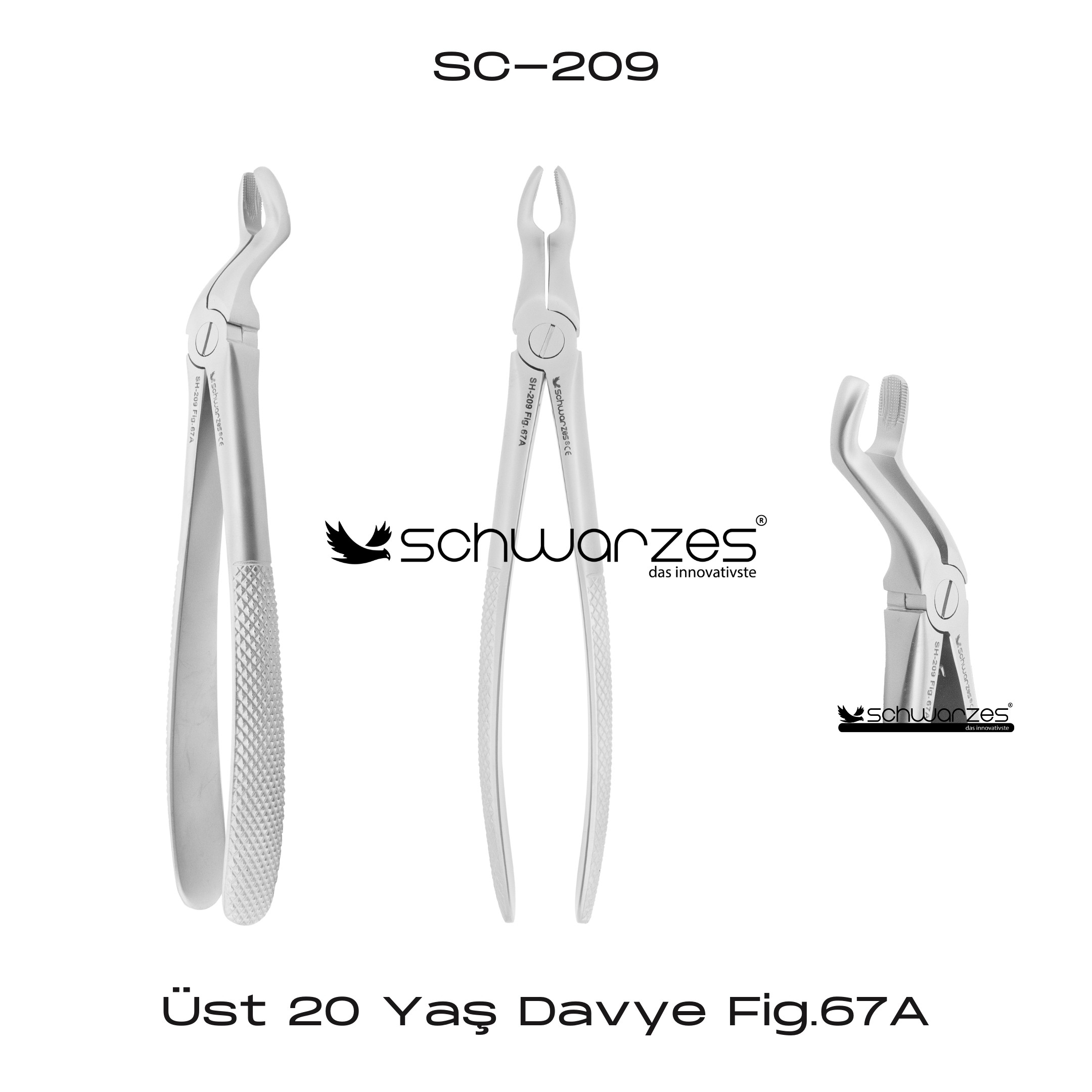 Üst 20 Yaş Davye Fig.67A