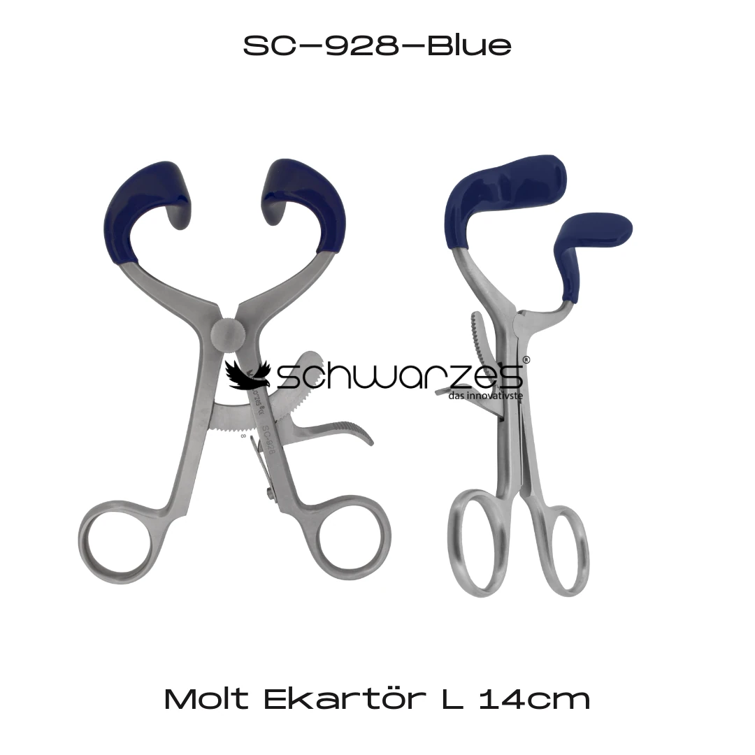 Molt Ekartör L 14cm