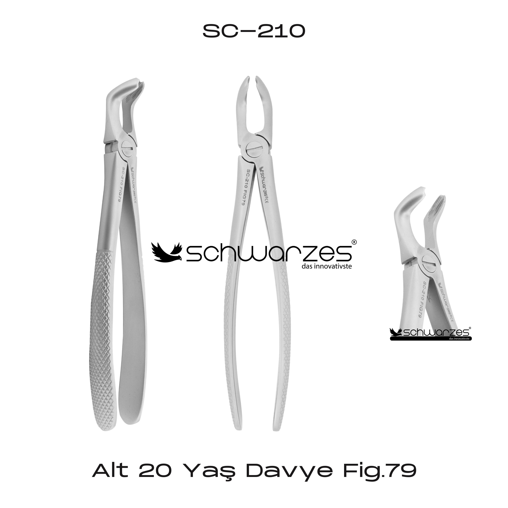 Alt 20 Yaş Davye Fig.79