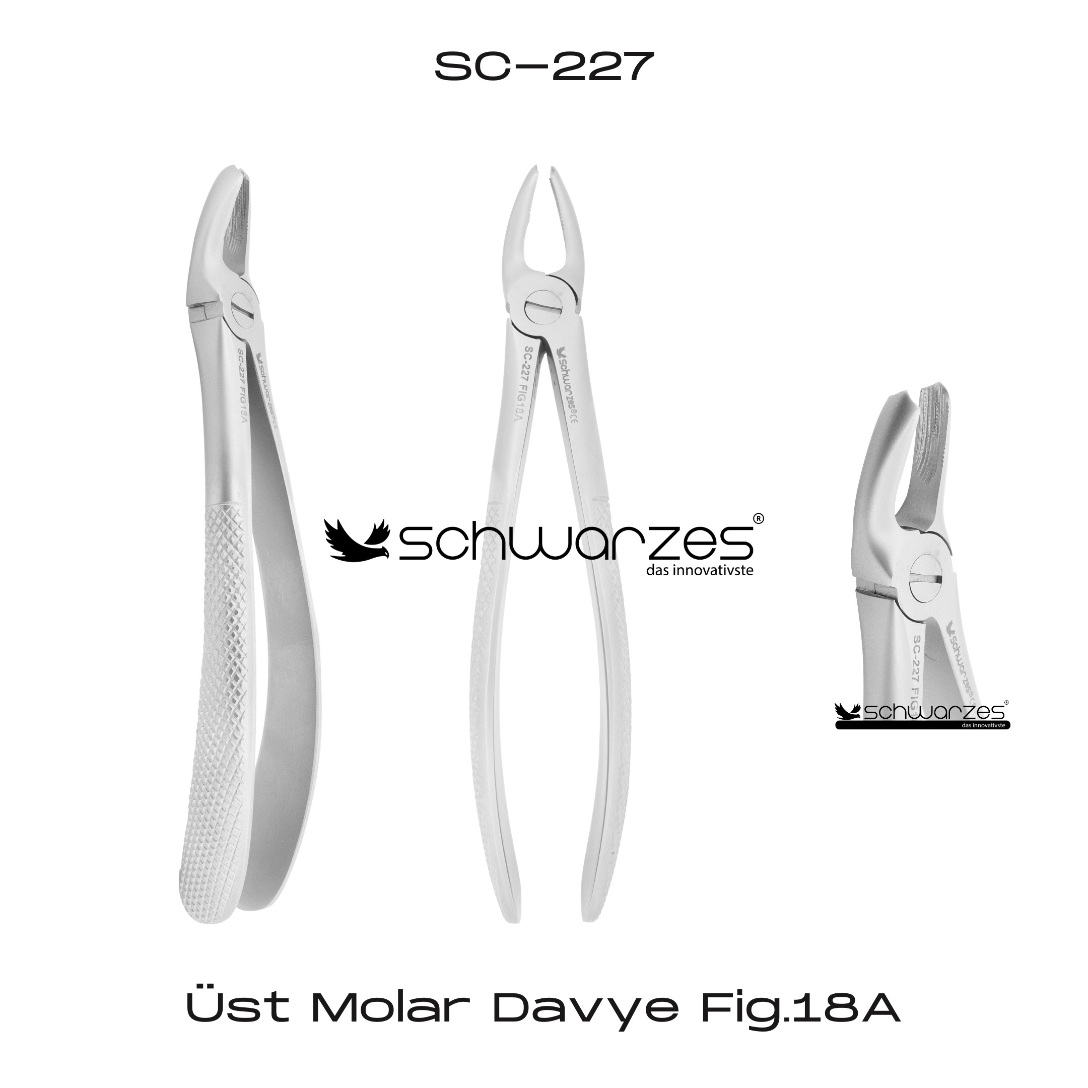 Üst Molar Davye Fig.18A