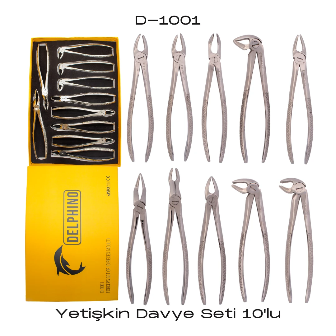 Yetişkin Davye Seti 10'lu