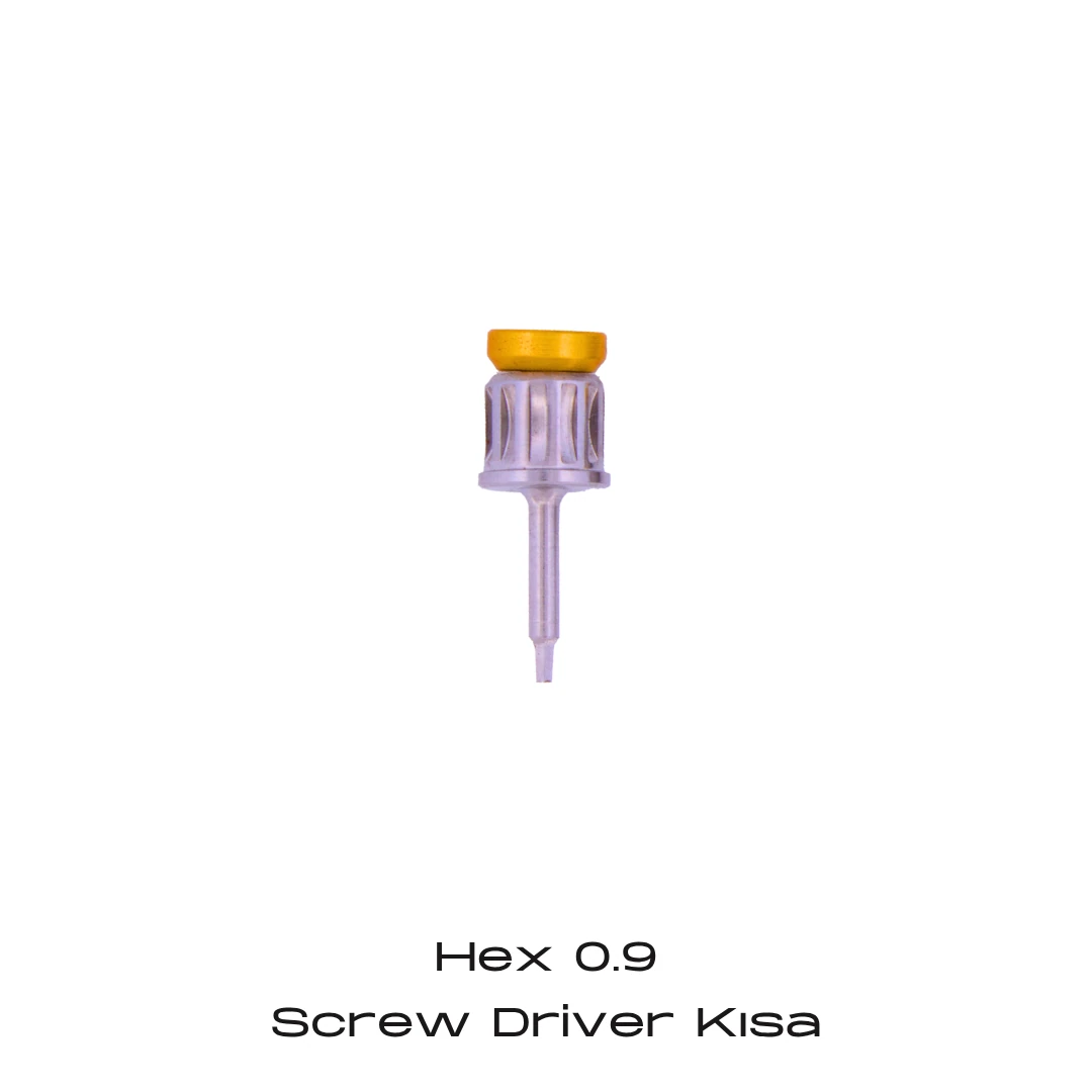 Screw Driver - Hex 0.9