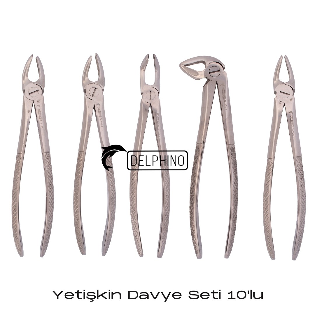 Yetişkin Davye Seti 10'lu D-1001