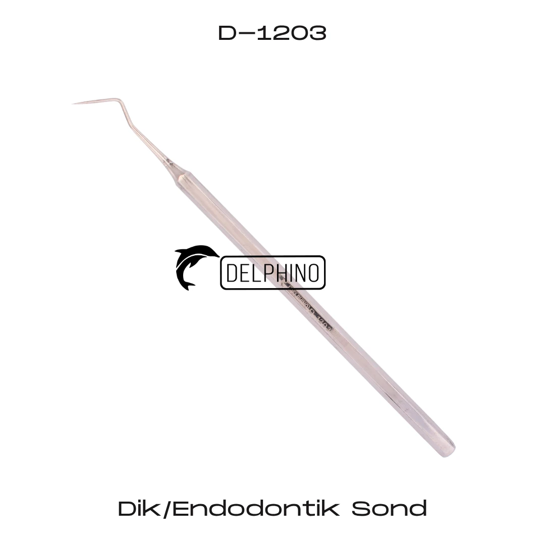 Dik/Endodontik Sond