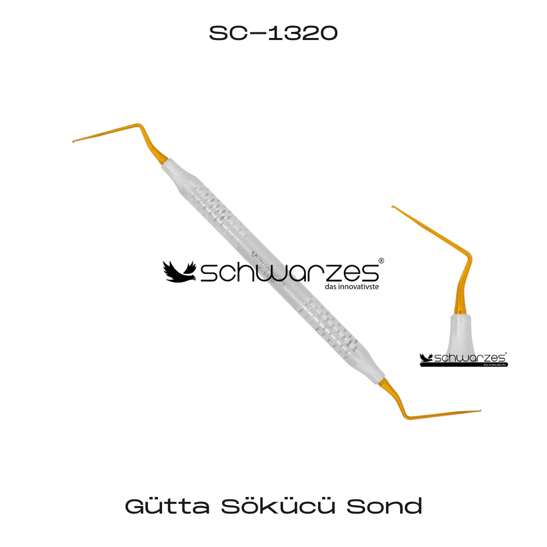 Gütta Sökücü Sond