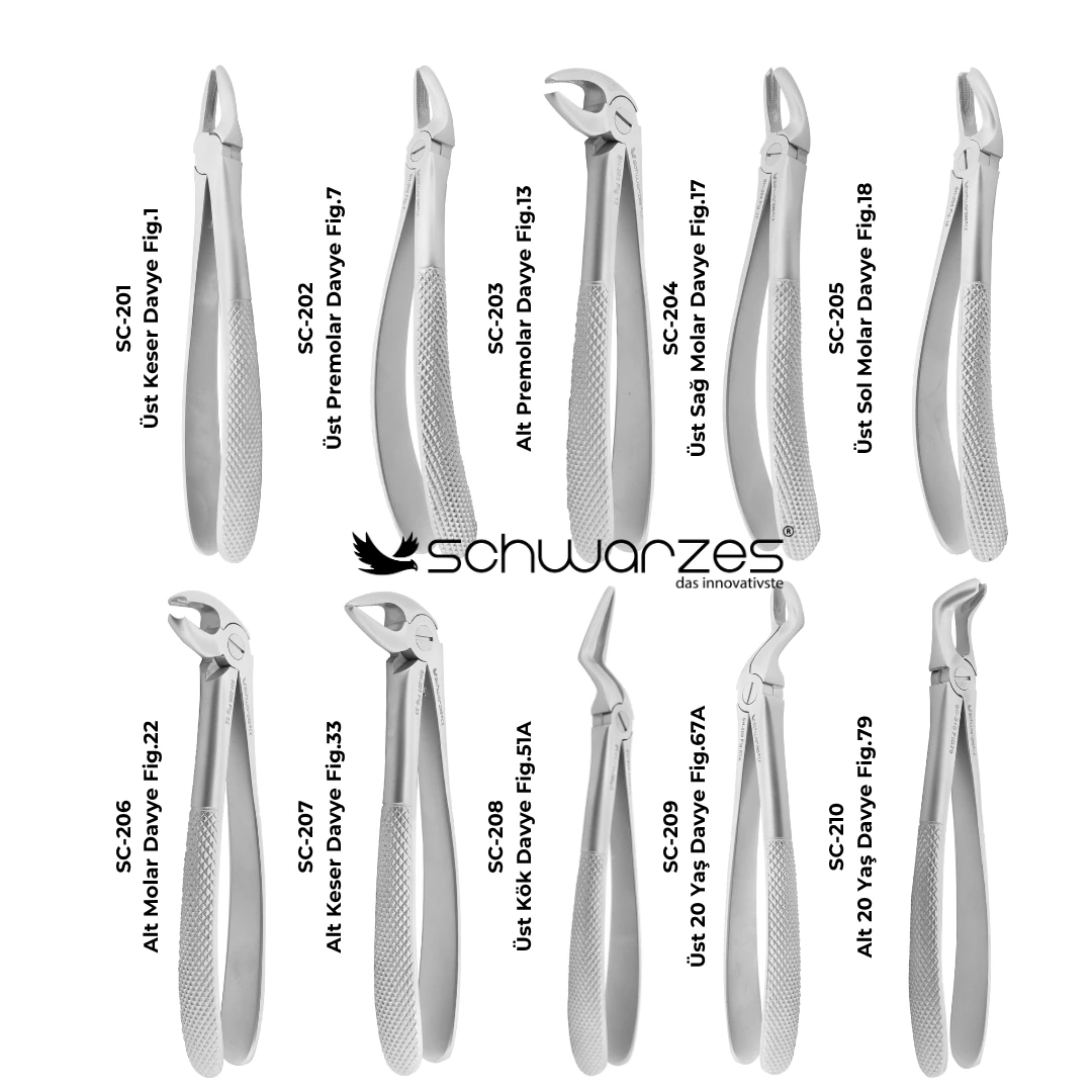 Yetişkin Davye Seti 10'lu