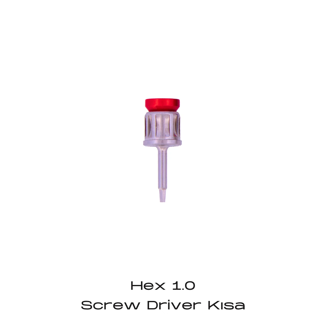 Screw Driver - Hex 1.0