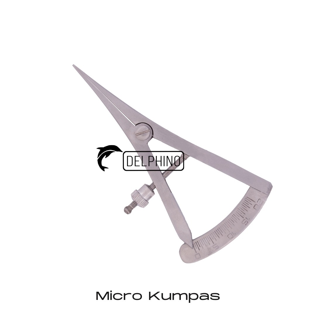 Micro Kumpas