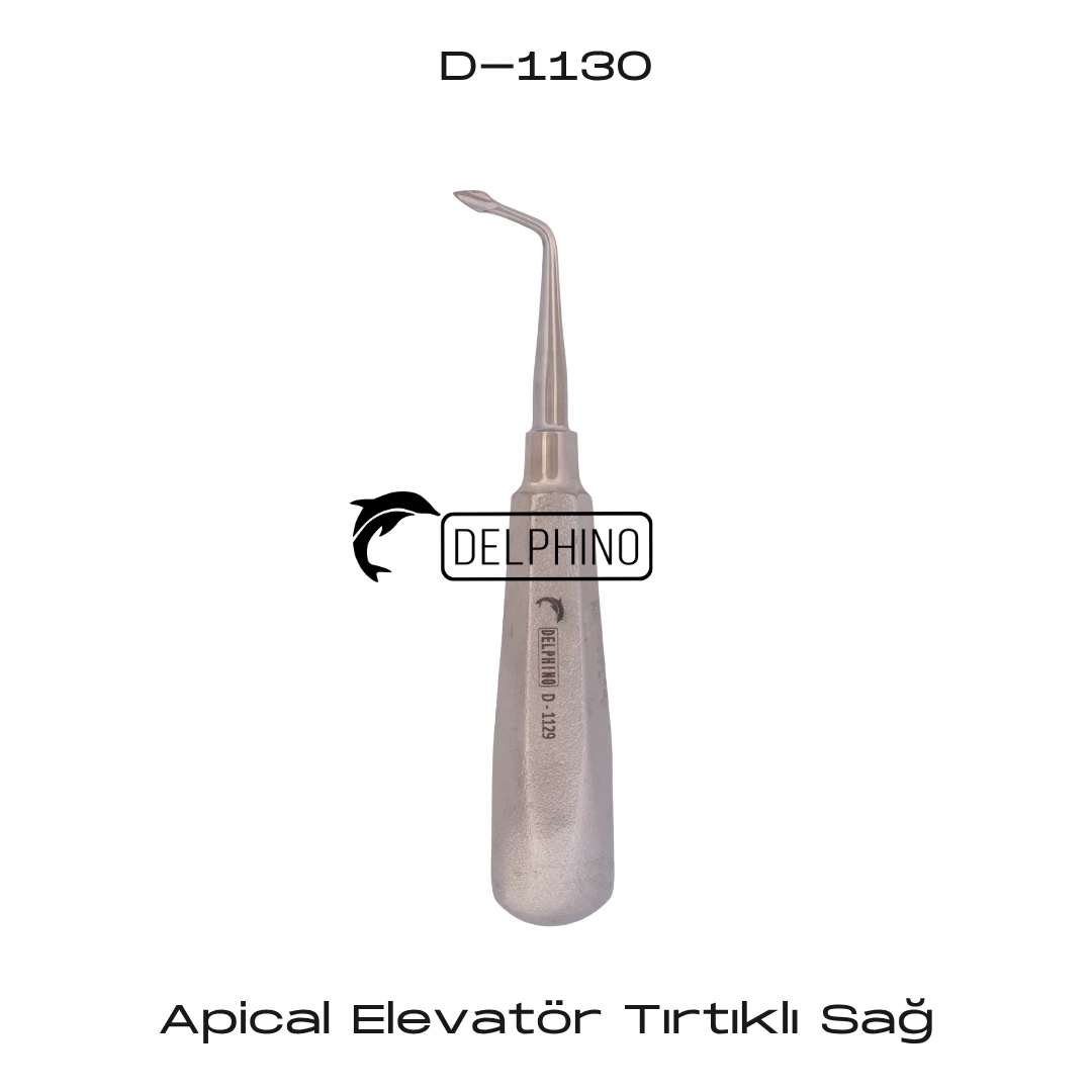 Apical Elevatör Tırtıklı - Sağ