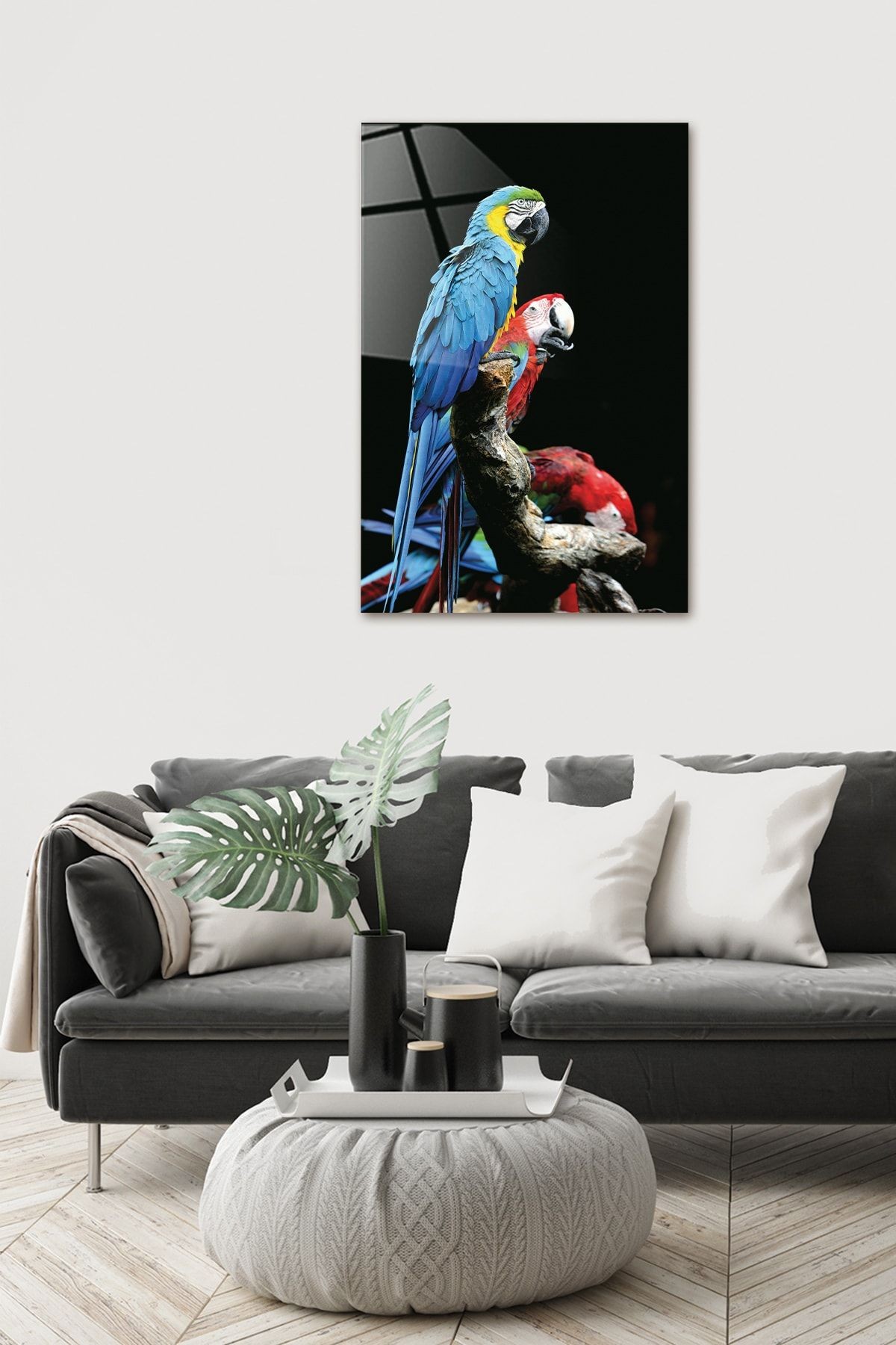 Hayvanlar | Cam Tablo | Renkli Papağanlar | 40cm X 60cm