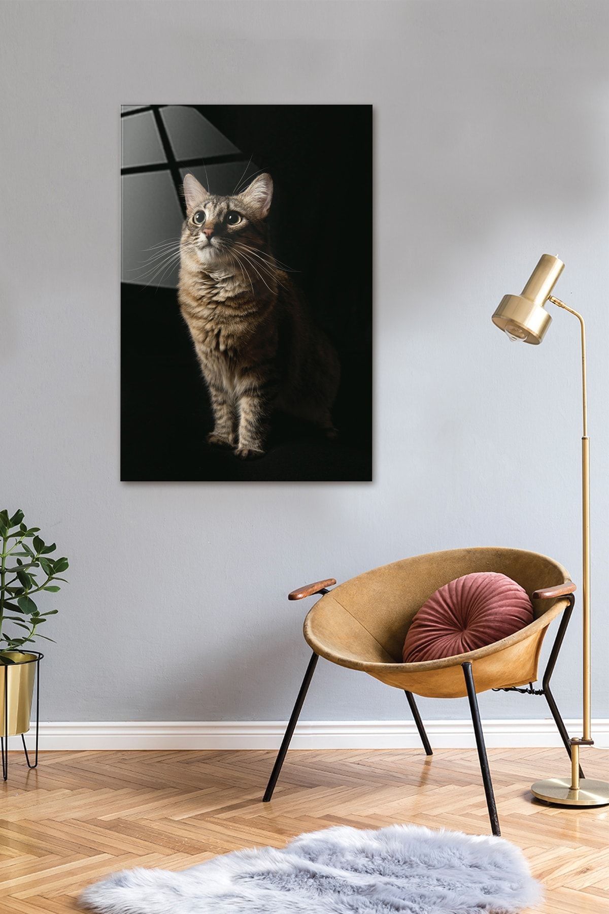 Hayvanlar | Cam Tablo | Kedi | 40cm X 60cm