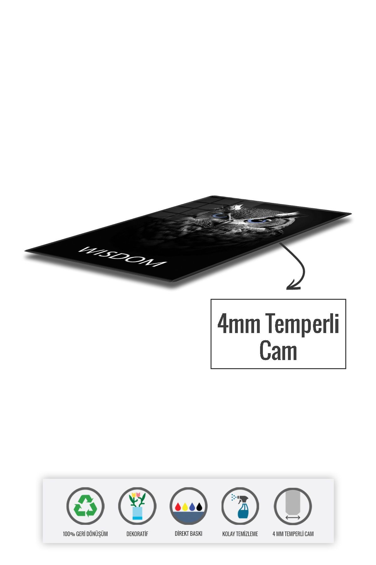 Cam Tablo | Motivasyon Serisi | Owl - Wisdom | 40cm x 60cm