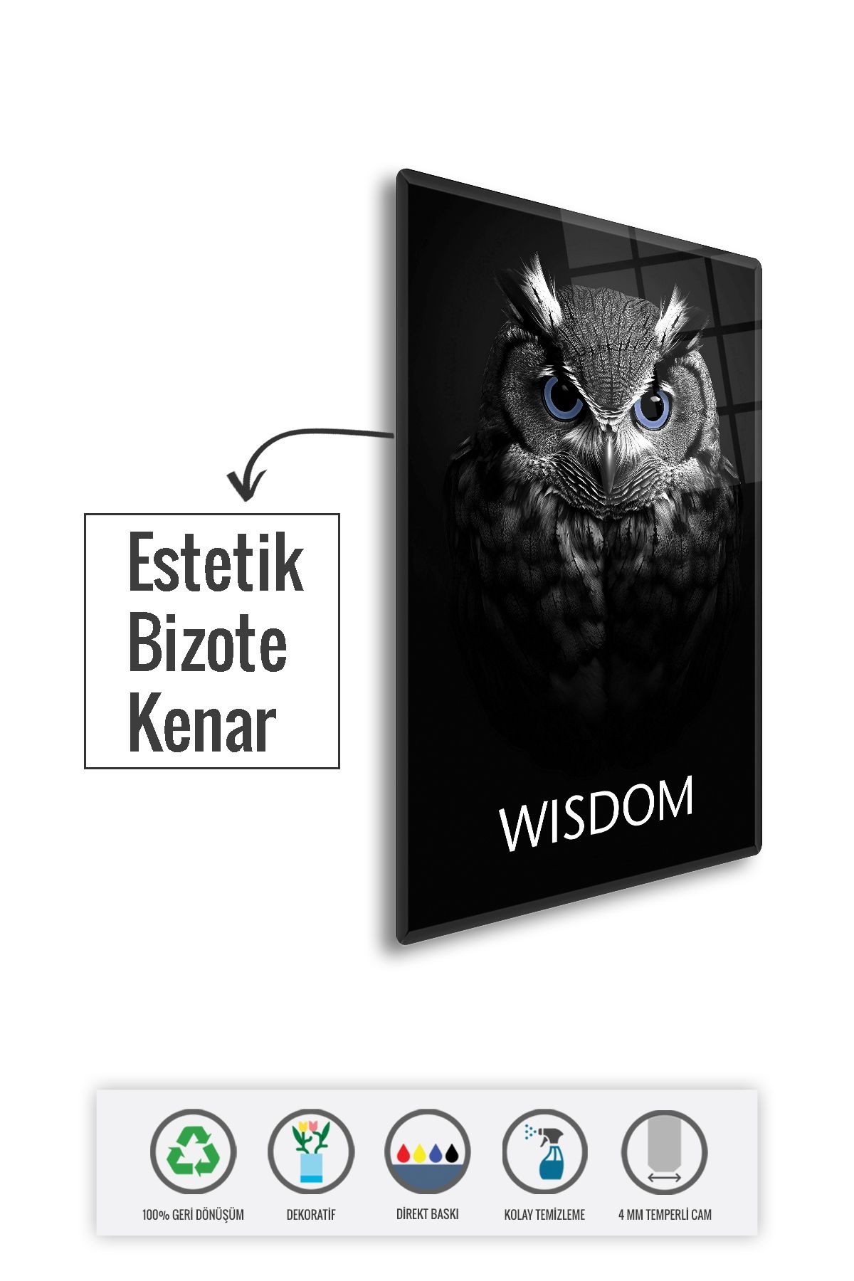 Cam Tablo | Motivasyon Serisi | Owl - Wisdom | 40cm x 60cm