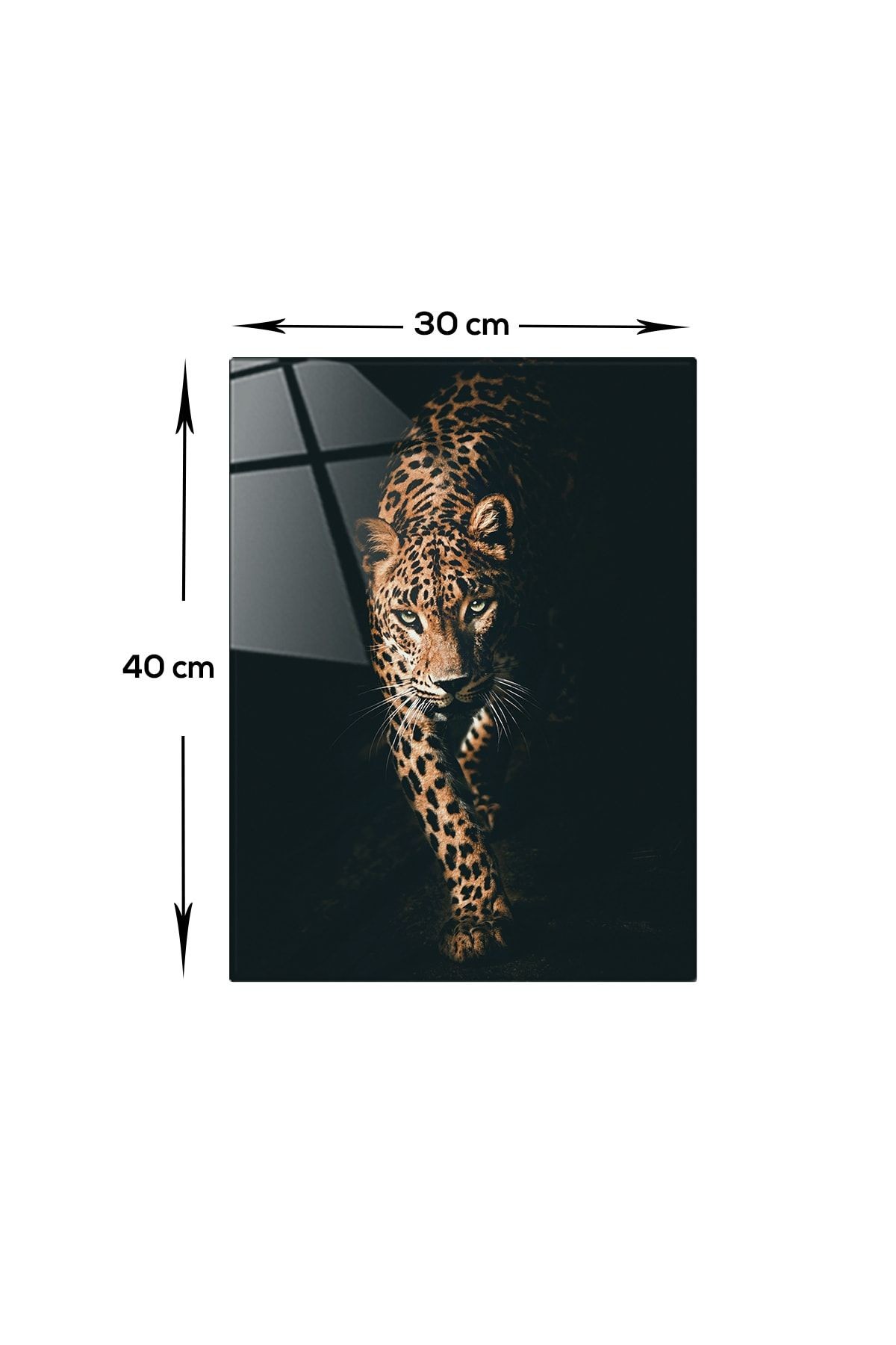 Hayvanlar | Cam Tablo | Leopar | 30cm X 40cm