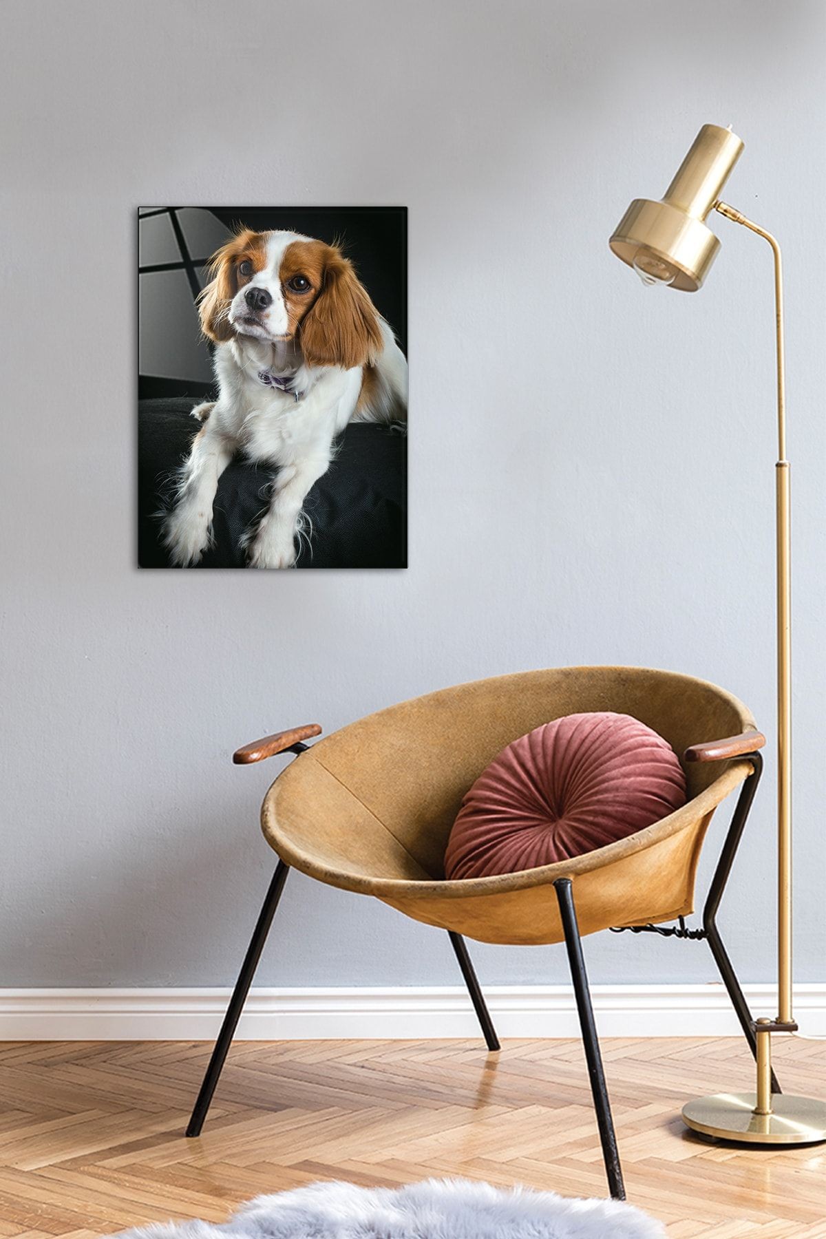 Hayvanlar | Cam Tablo | Köpek | 30cm X 40cm