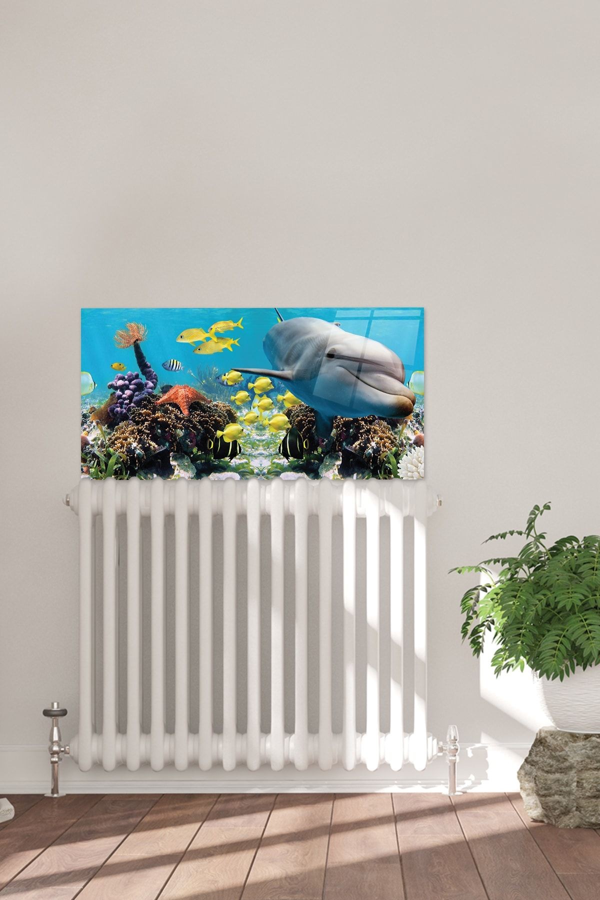 Petek Üstü Cam | Yunuslu Akvaryum | 40cm X 80cm