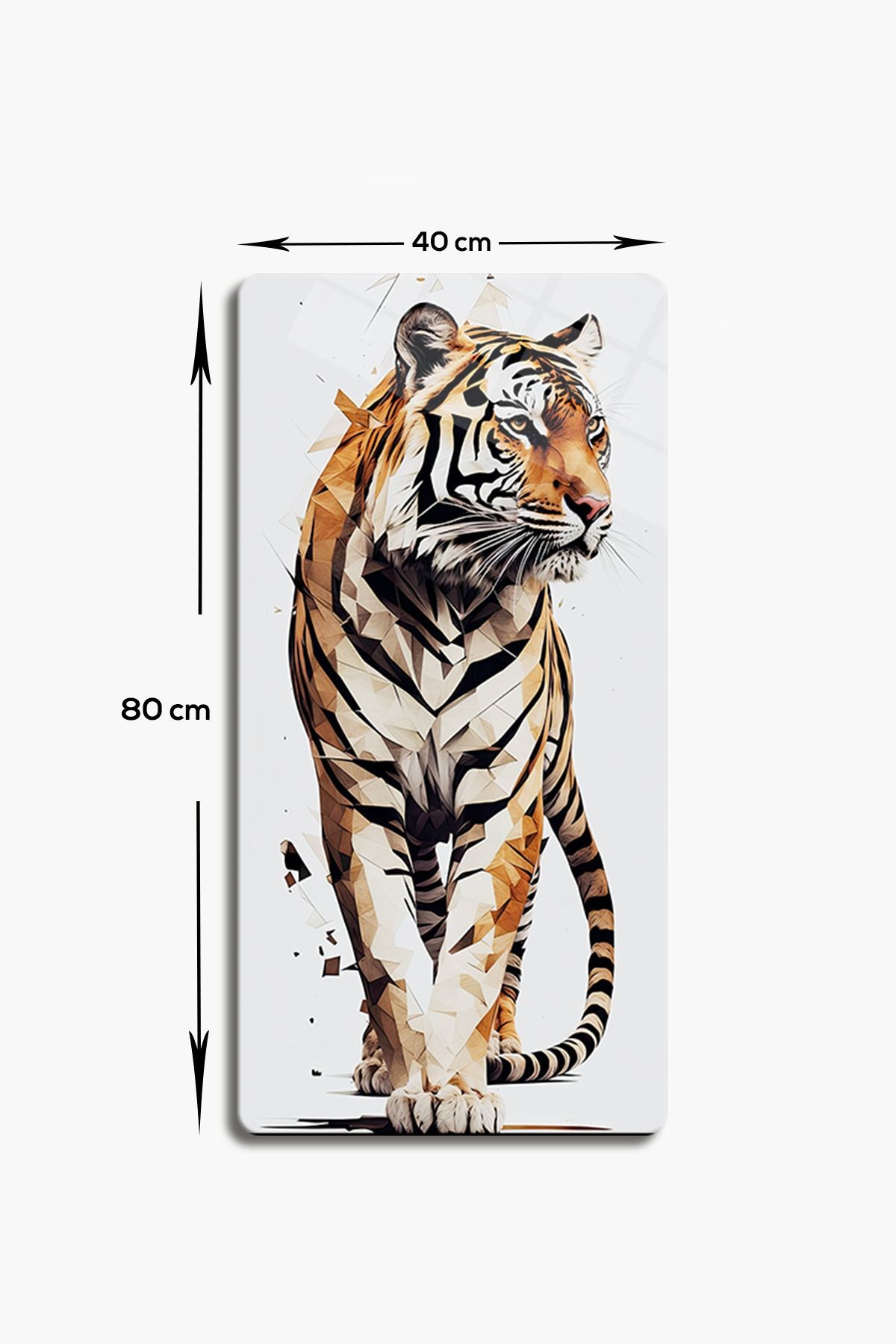 Cam Tablo | Modern Art Serisi | Tiger Art | 3'lü Takım | 40cm x 80cm
