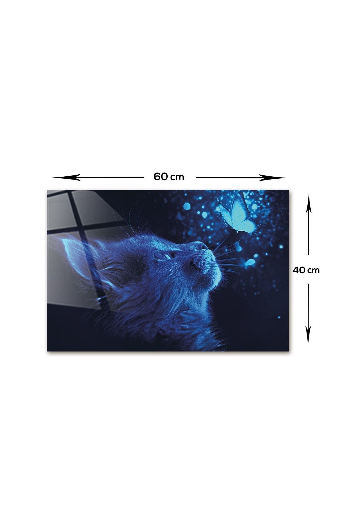 Hayvanlar | Cam Tablo | Kedi Ve Kelebek | 40cm X 60cm