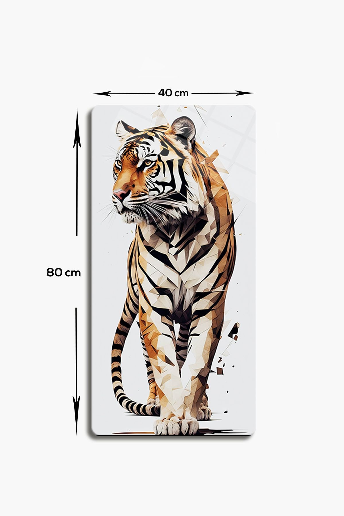 Cam Tablo | Modern Art Serisi | Tiger Art | 3'lü Takım | 40cm x 80cm