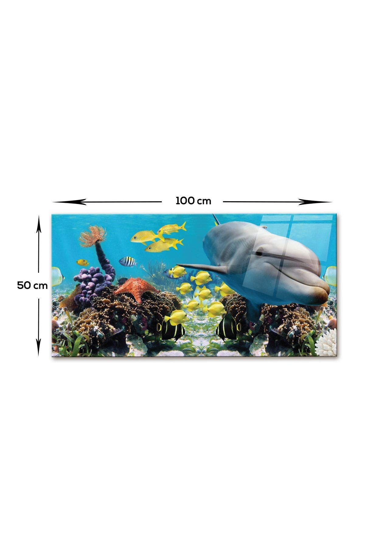 Petek Üstü Cam | Yunuslu Akvaryum | 50cm X 100cm