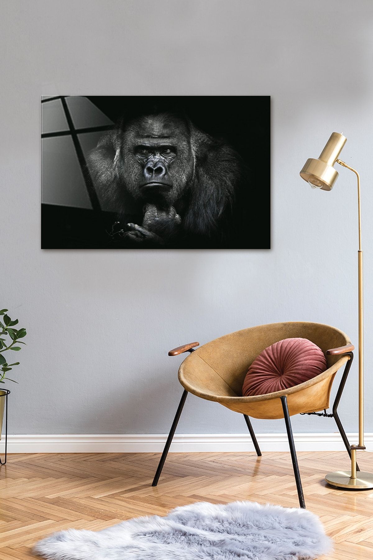 Hayvanlar | Cam Tablo | Goril - Yatay Görünüm | 40cm X 60cm
