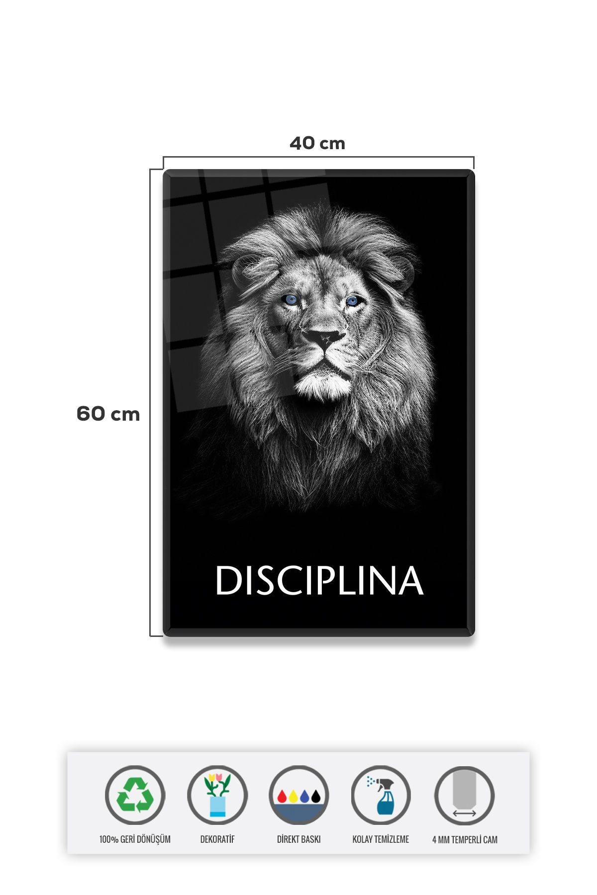 Cam Tablo | Motivasyon Serisi | Lion - Discipline | 40cm x 60cm