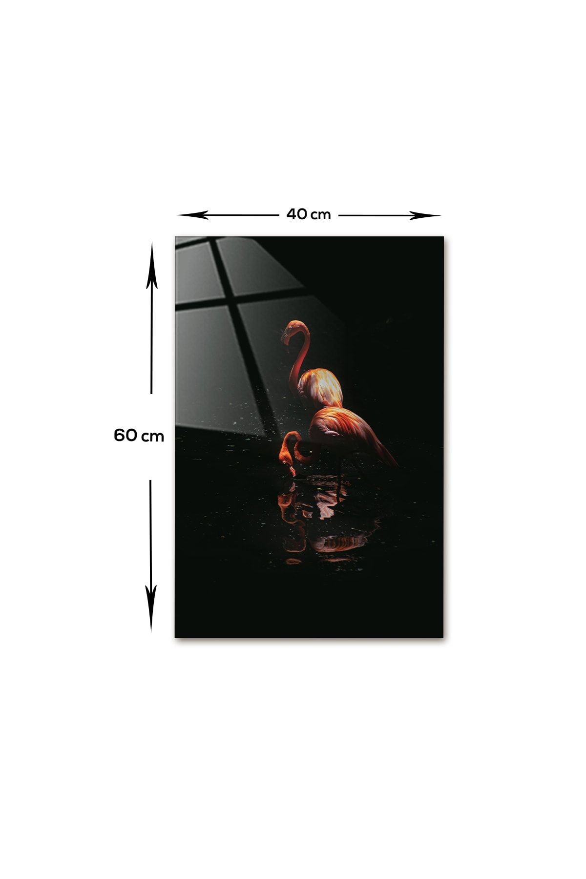 Hayvanlar | Cam Tablo | Flamingo | 40cm X 60cm