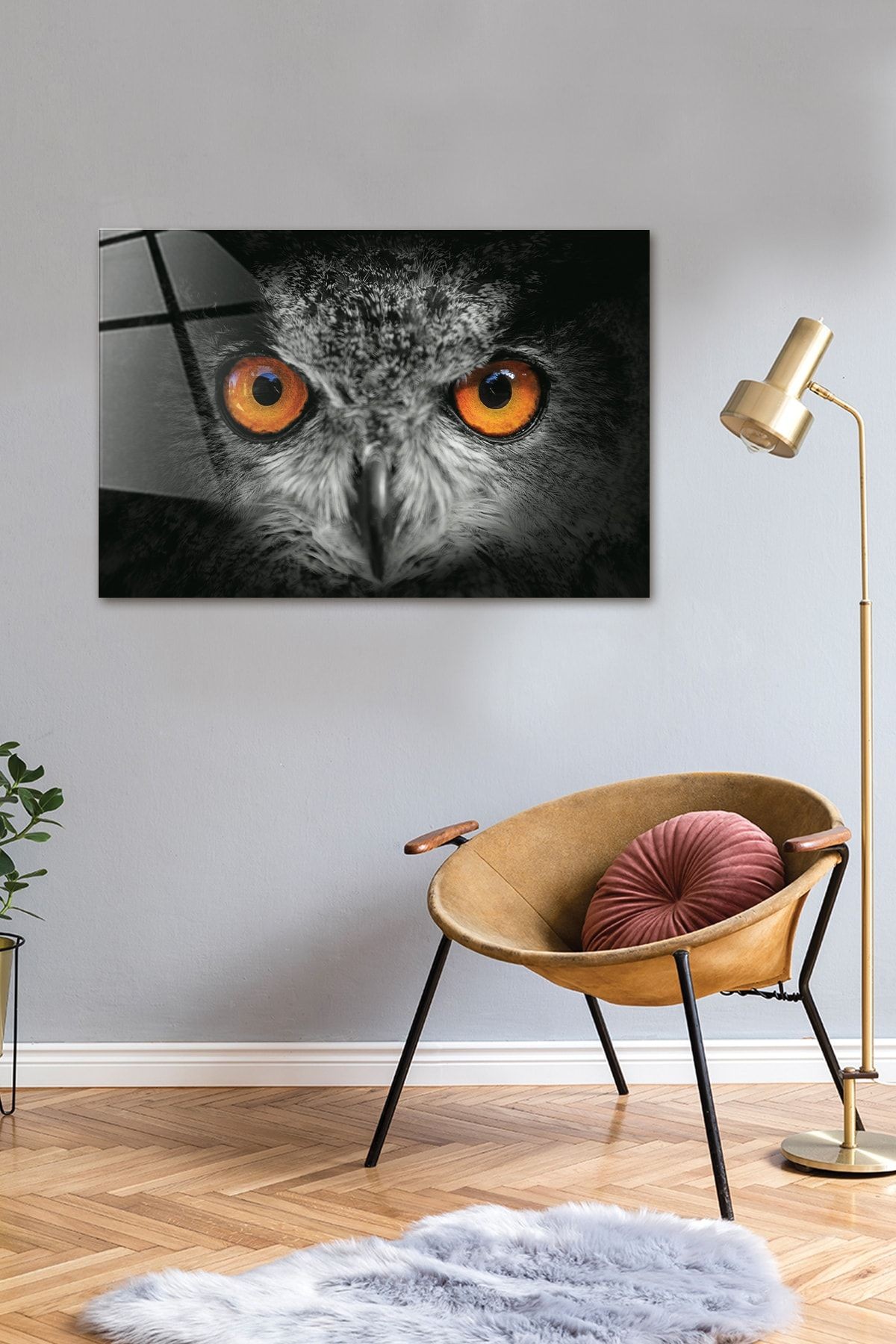 Hayvanlar | Cam Tablo | Baykuş - Yatay Görünüm | 40cm X 60cm