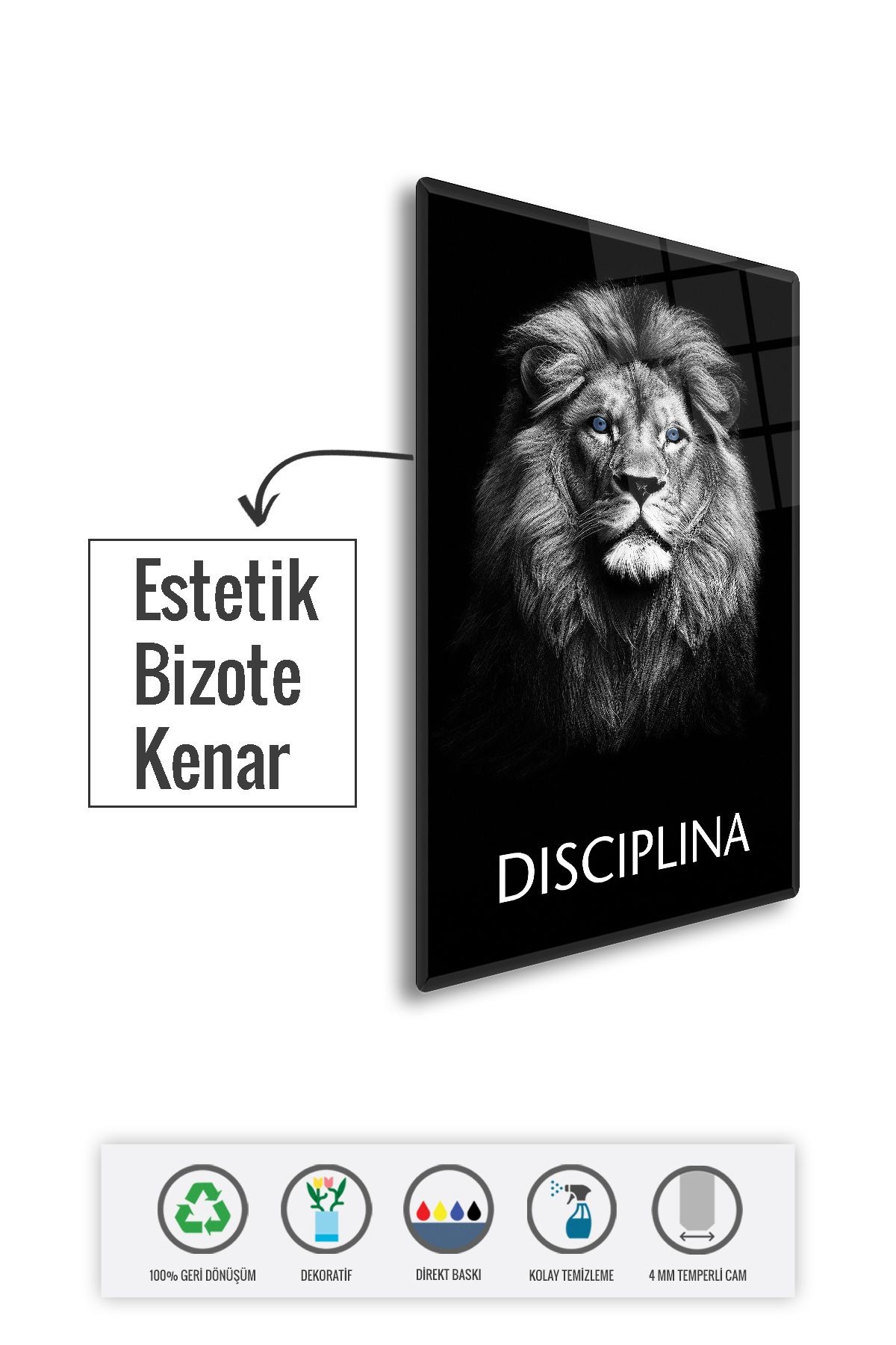 Cam Tablo | Motivasyon Serisi | Lion - Discipline | 40cm x 60cm