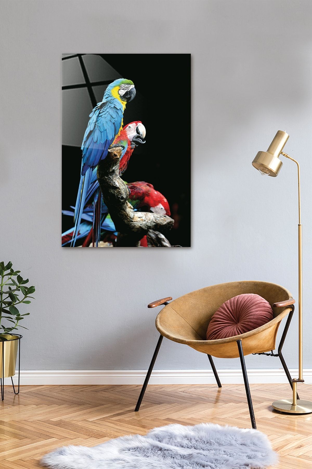 Hayvanlar | Cam Tablo | Renkli Papağanlar | 40cm X 60cm