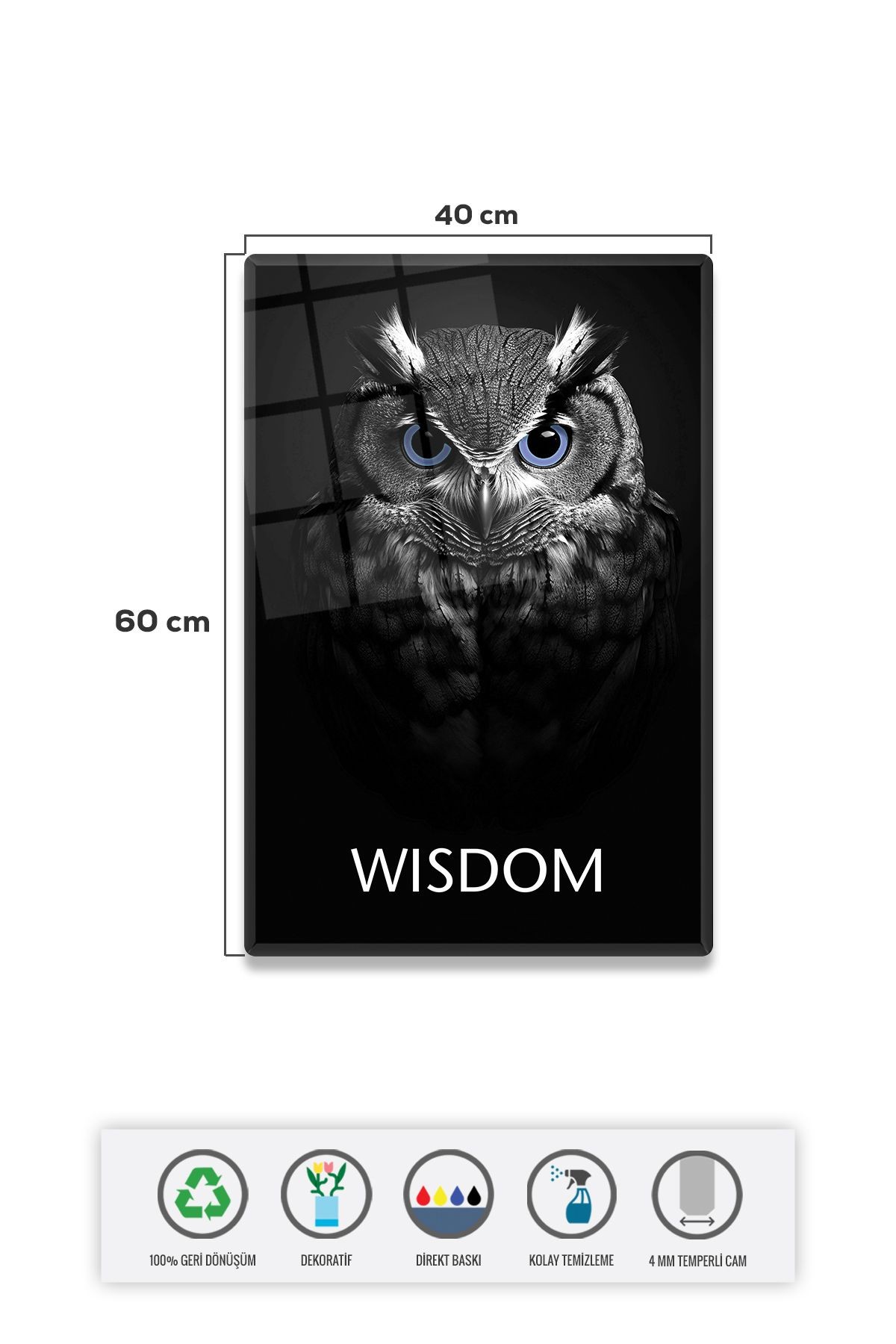Cam Tablo | Motivasyon Serisi | Owl - Wisdom | 40cm x 60cm