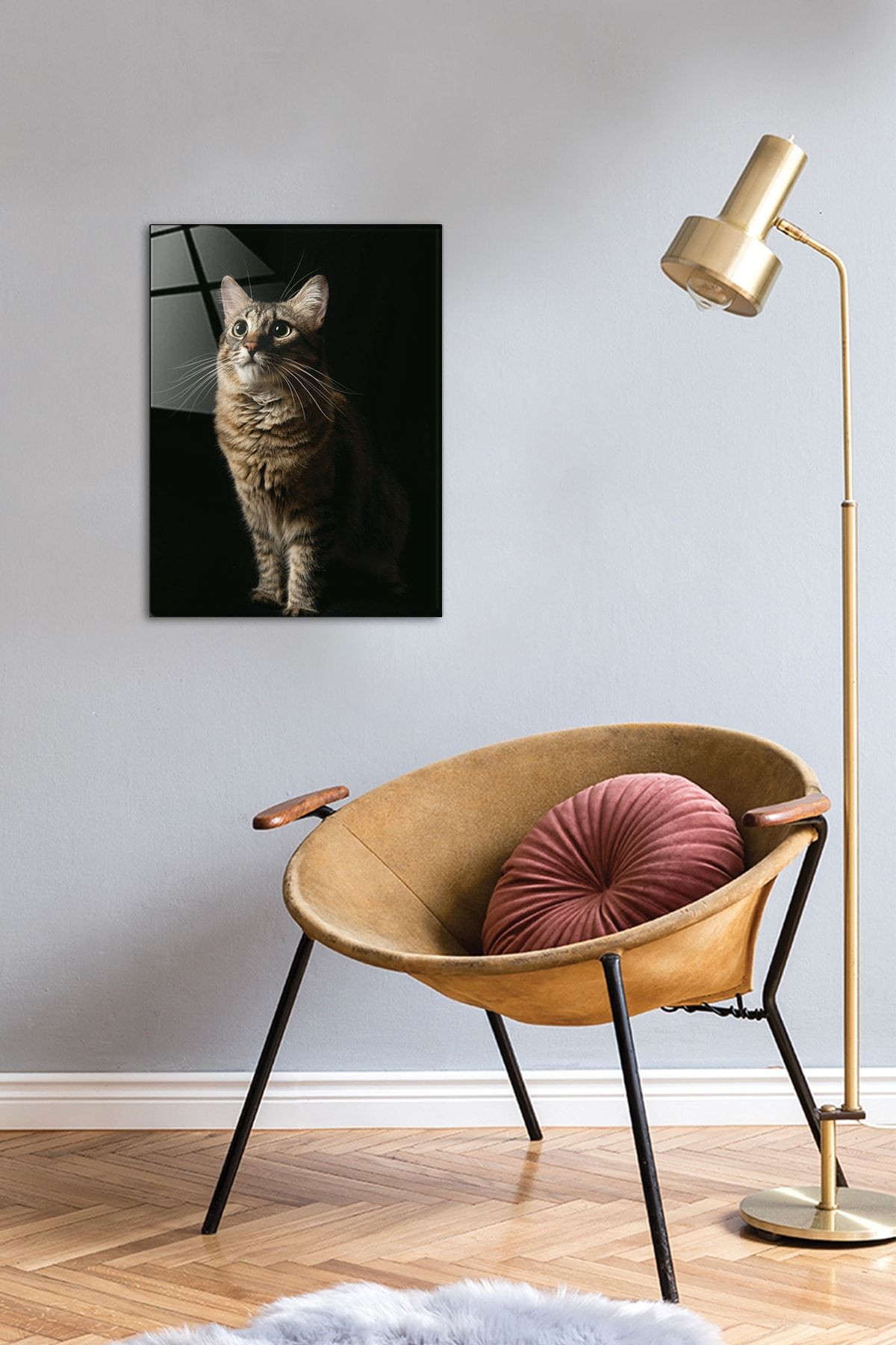 Hayvanlar | Cam Tablo | Kedi | 30cm X 40cm
