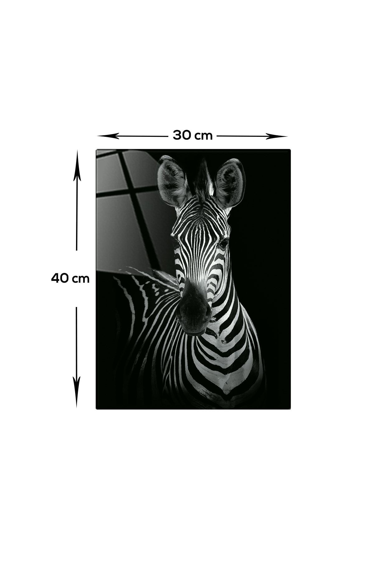 Hayvanlar | Cam Tablo | Zebra | 30cm X 40cm
